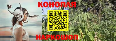 a pvp Новодвинск