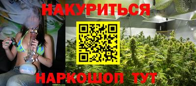 a pvp Новодвинск