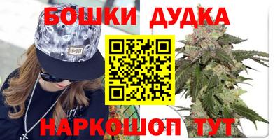a pvp Новодвинск