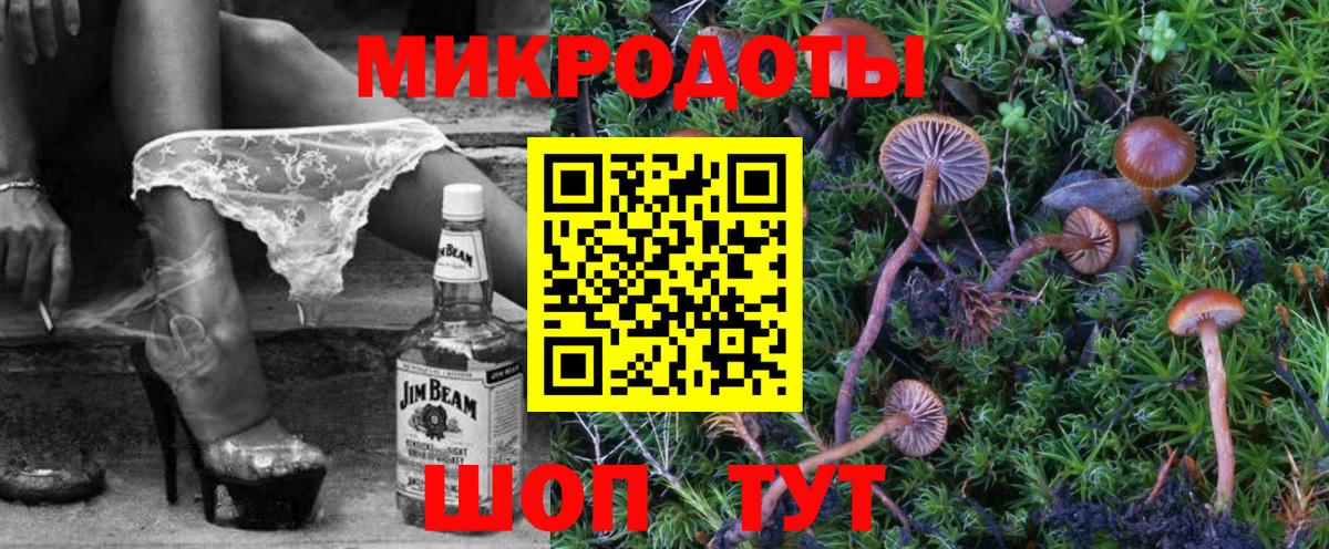 Псилоцибиновые грибы прущие грибы Реутов