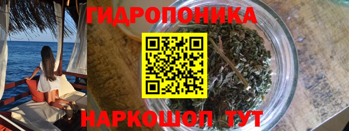 Марихуана индика Реутов